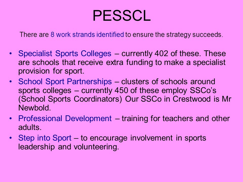 PESSCL There are 8 work strands identified to ensure the strategy succeeds.