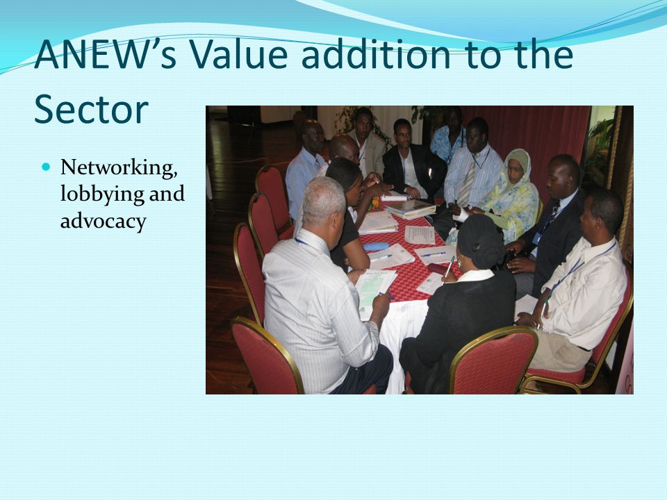 ANEW’s Value addition to the Sector Networking, lobbying and advocacy