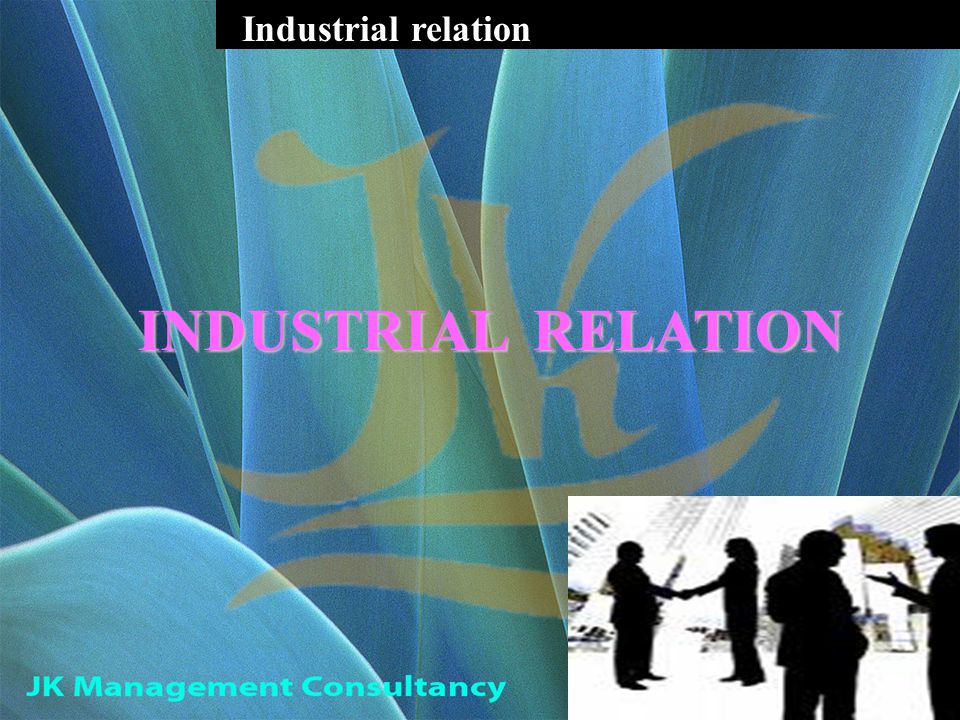 Industrial relation INDUSTRIAL RELATION