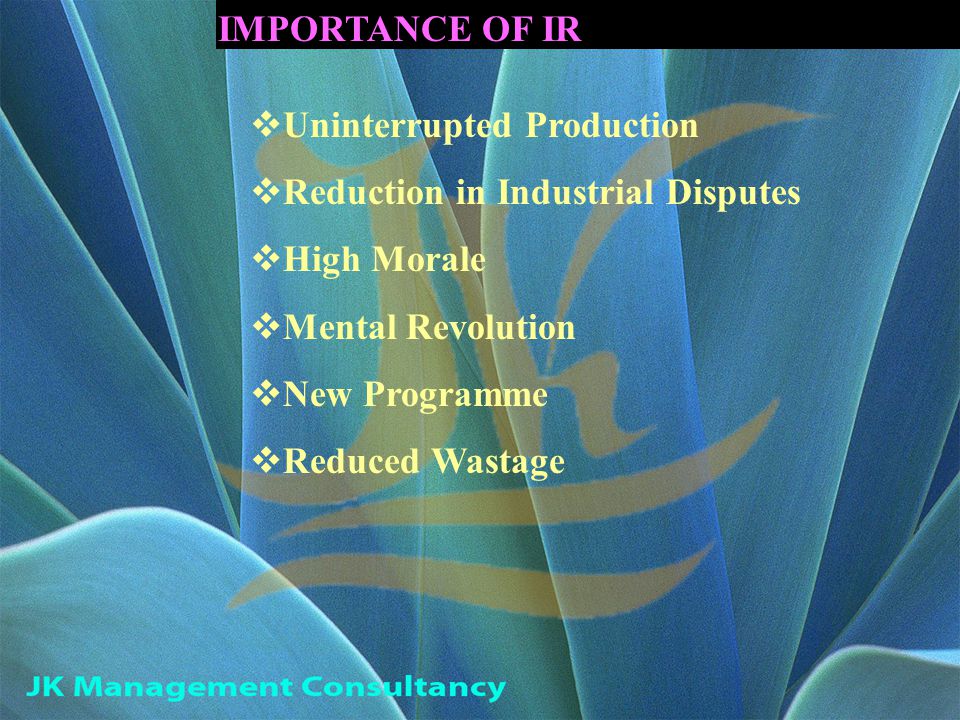 IMPORTANCE OF IR  Uninterrupted Production  Reduction in Industrial Disputes  High Morale  Mental Revolution  New Programme  Reduced Wastage