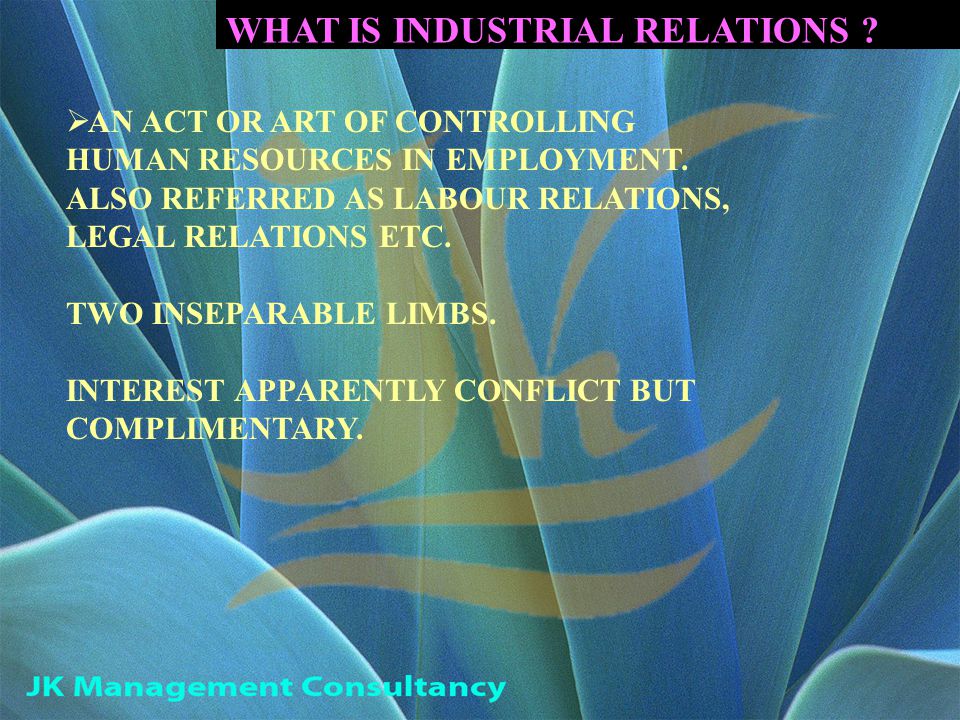 WHAT IS INDUSTRIAL RELATIONS .  AN ACT OR ART OF CONTROLLING HUMAN RESOURCES IN EMPLOYMENT.