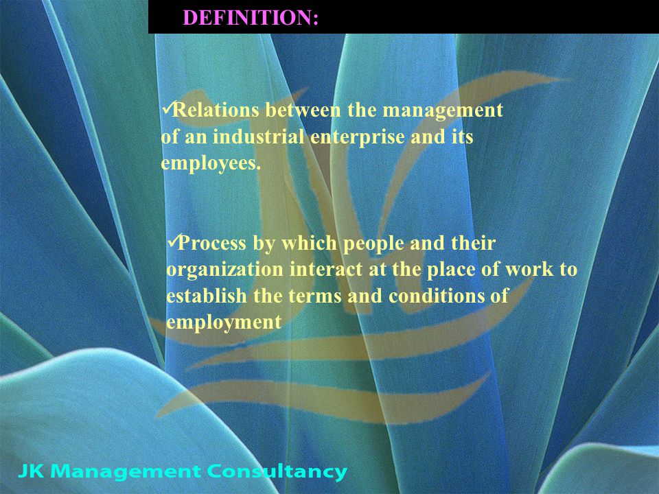 Relations between the management of an industrial enterprise and its employees.