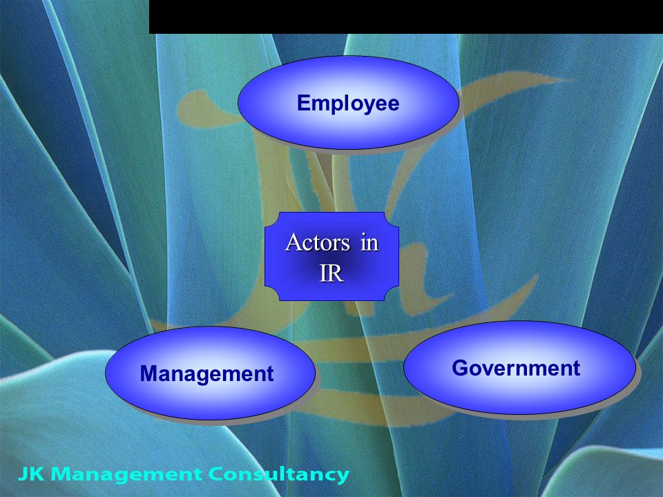 Employee Management Government Actors in IR