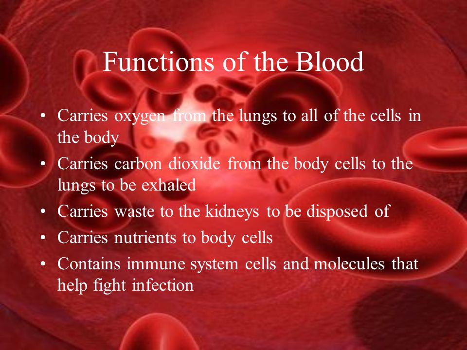 Functions of the Blood Carries oxygen from the lungs to all of the cells in the body Carries carbon dioxide from the body cells to the lungs to be exhaled Carries waste to the kidneys to be disposed of Carries nutrients to body cells Contains immune system cells and molecules that help fight infection