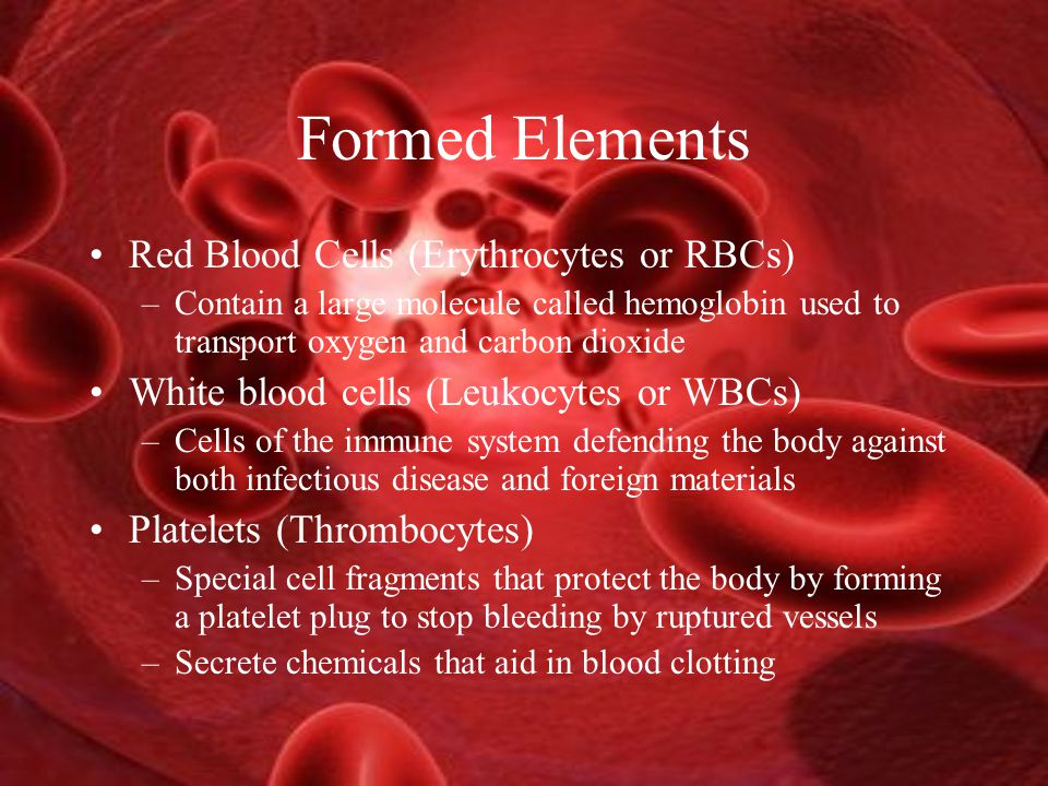 Formed Elements Red Blood Cells (Erythrocytes or RBCs) –Contain a large molecule called hemoglobin used to transport oxygen and carbon dioxide White blood cells (Leukocytes or WBCs) –Cells of the immune system defending the body against both infectious disease and foreign materials Platelets (Thrombocytes) –Special cell fragments that protect the body by forming a platelet plug to stop bleeding by ruptured vessels –Secrete chemicals that aid in blood clotting