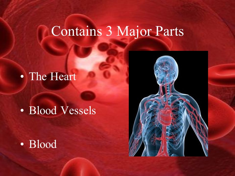 Contains 3 Major Parts The Heart Blood Vessels Blood