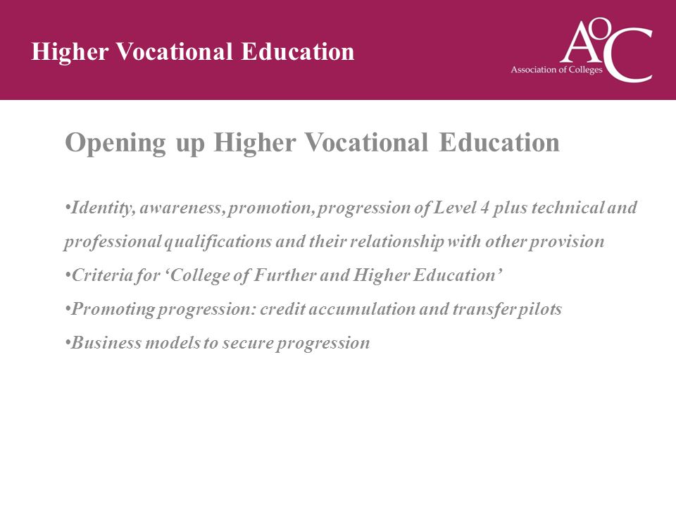 Opening up Higher Vocational Education Identity, awareness, promotion, progression of Level 4 plus technical and professional qualifications and their relationship with other provision Criteria for ‘College of Further and Higher Education’ Promoting progression: credit accumulation and transfer pilots Business models to secure progression Higher Vocational Education