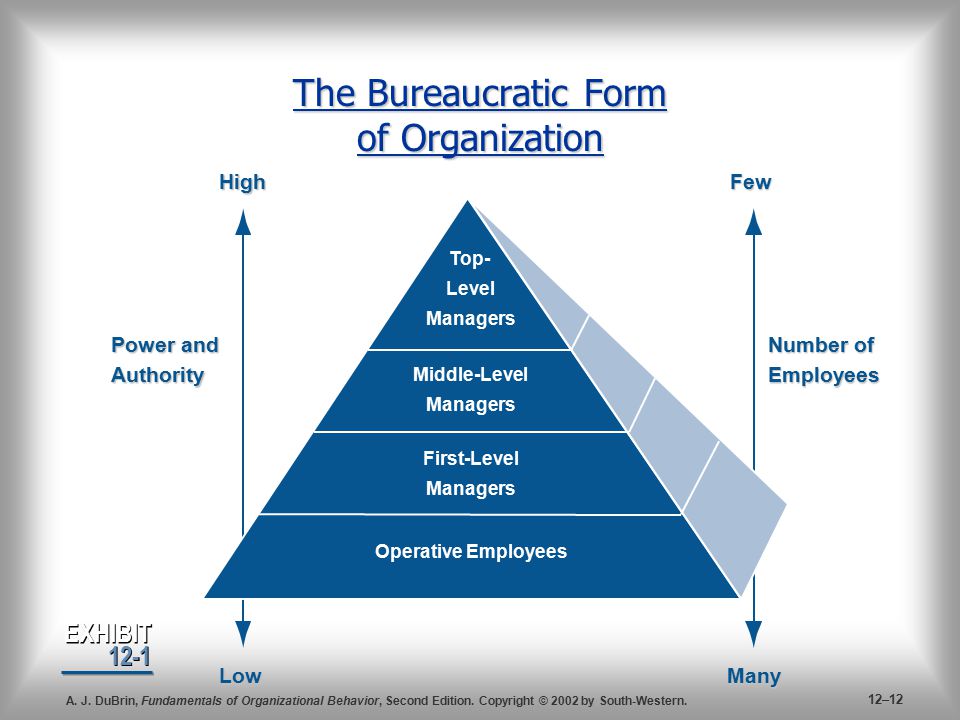 ideal bureaucratic organisatio ideal bureaucratic organisatio