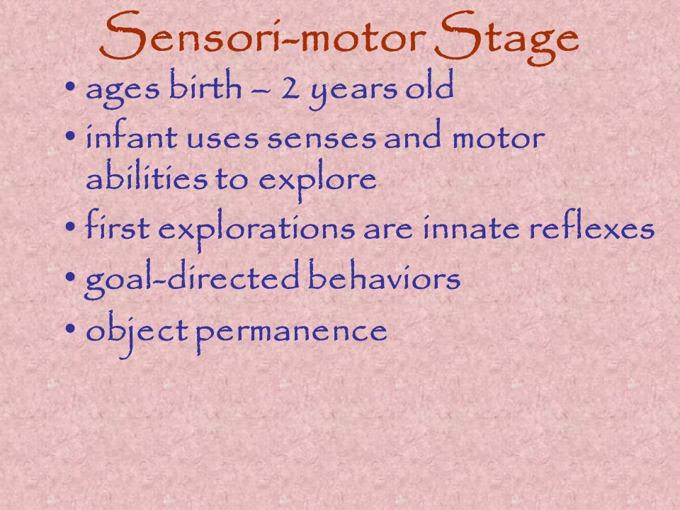 Sensori-motor Stage ages birth – 2 years old infant uses senses and motor abilities to explore first explorations are innate reflexes goal-directed behaviors object permanence