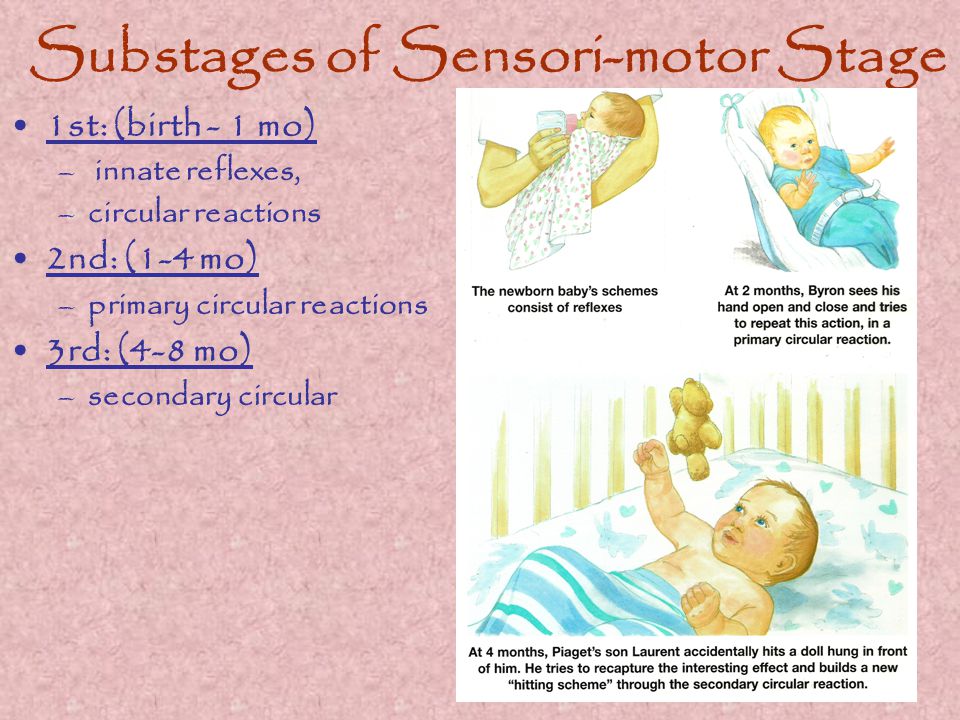 Substages of Sensori-motor Stage 1st: (birth - 1 mo) – innate reflexes, –circular reactions 2nd: (1-4 mo) –primary circular reactions 3rd: (4-8 mo) –secondary circular