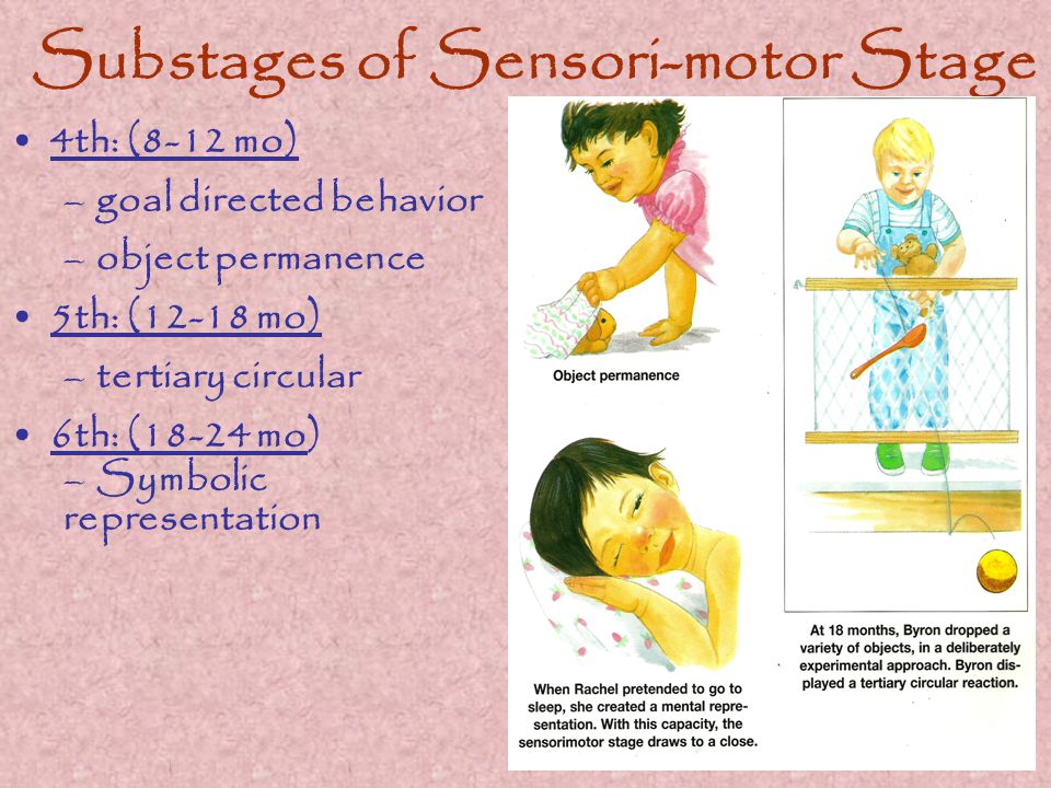Substages of Sensori-motor Stage 4th: (8-12 mo) –goal directed behavior –object permanence 5th: (12-18 mo) –tertiary circular 6th: (18-24 mo) –Symbolic representation