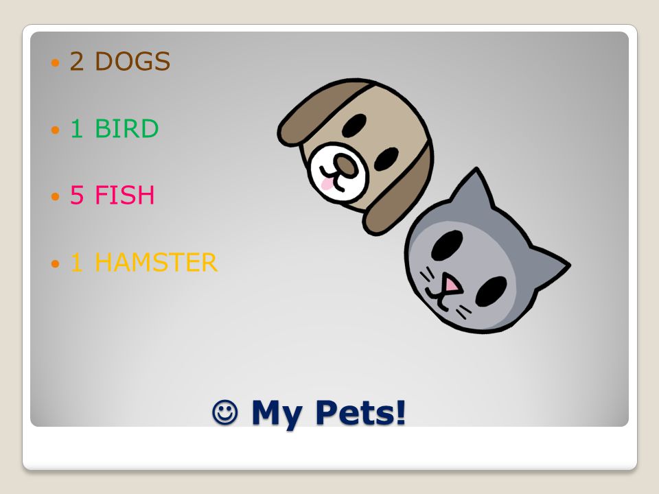 My Pets! My Pets! 2 DOGS 1 BIRD 5 FISH 1 HAMSTER
