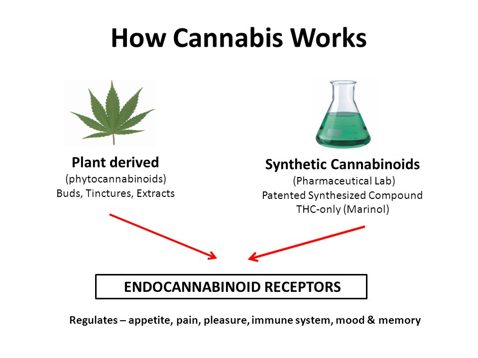 medical marijuana in jamaica professor wendel abel ppt download how cannabis works