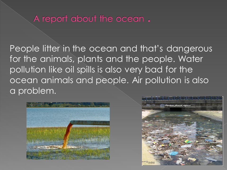 People litter in the ocean and that’s dangerous for the animals, plants and the people.