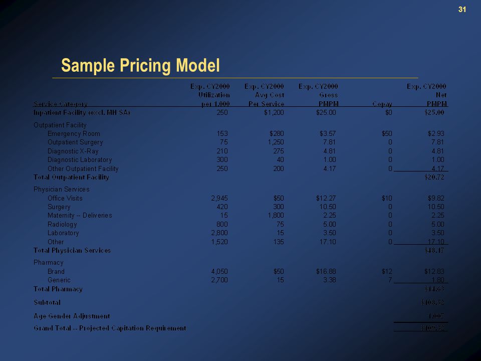 31 Sample Pricing Model