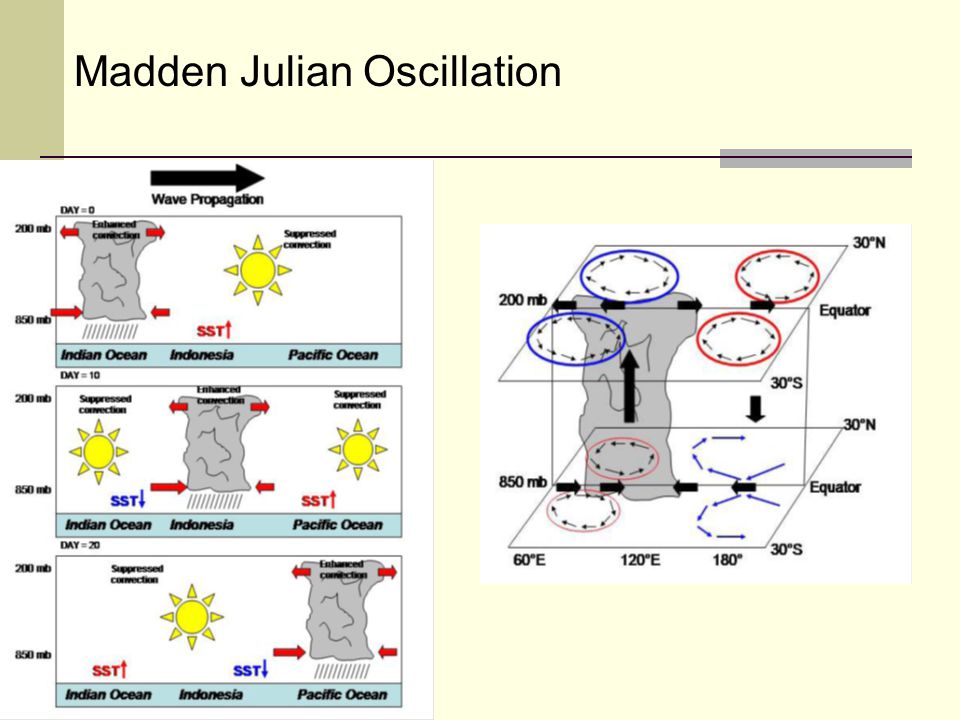 Madden Julian Oscillation
