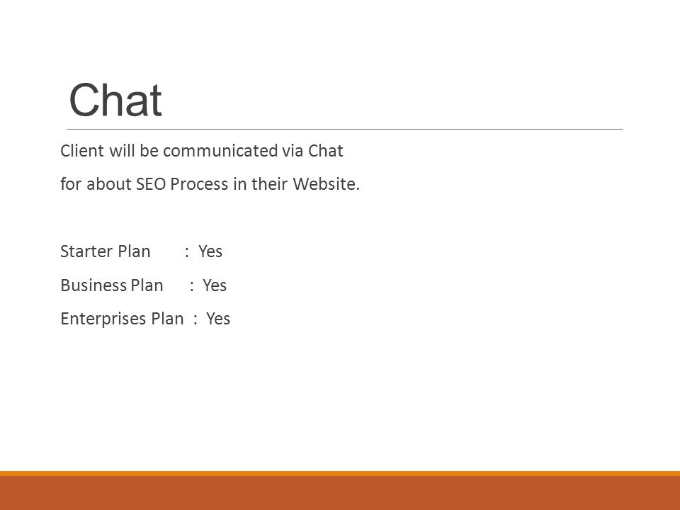 Chat Client will be communicated via Chat for about SEO Process in their Website.
