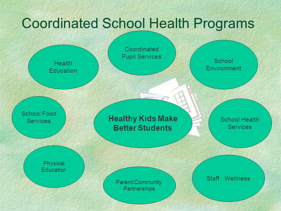Coordinated School Health Programs Healthy Kids Make Better Students School Health Services Health Education School Food Services Physical Education Parent/Community Partnerships School Environment Coordinated Pupil Services Staff Wellness