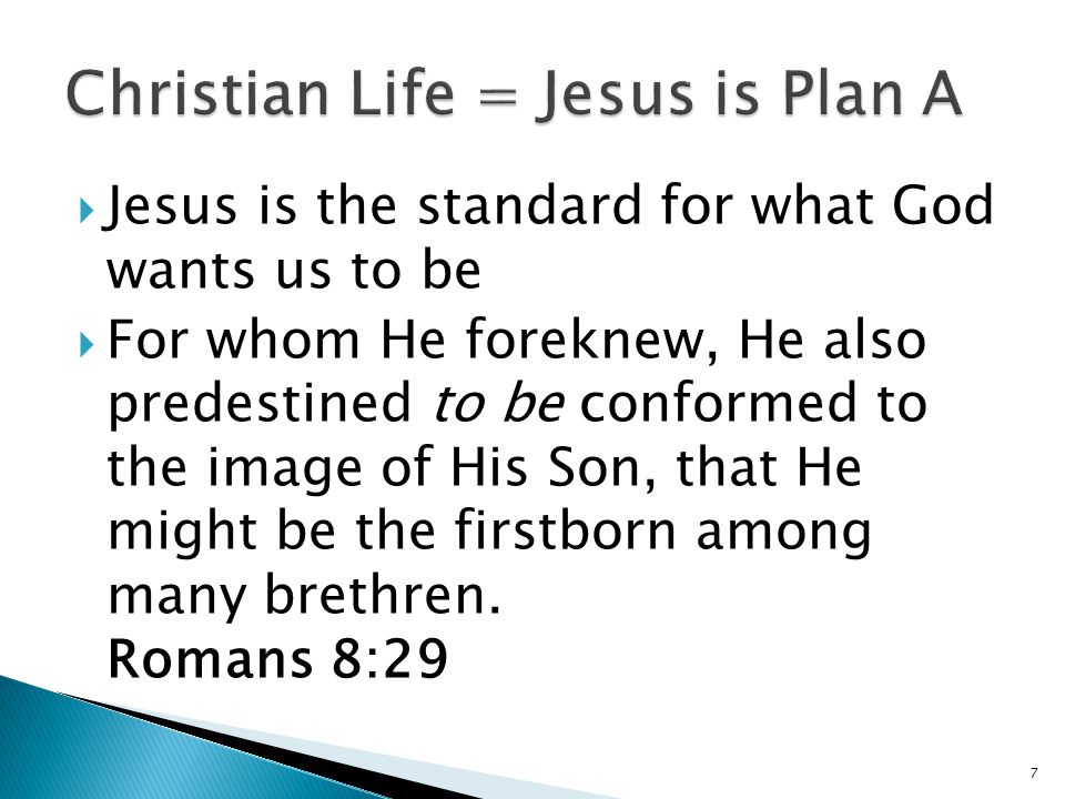  Jesus is the standard for what God wants us to be  For whom He foreknew, He also predestined to be conformed to the image of His Son, that He might be the firstborn among many brethren.