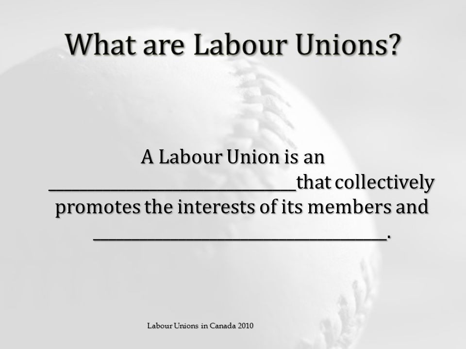 A Labour Union is an ________________________________that collectively promotes the interests of its members and ______________________________________.