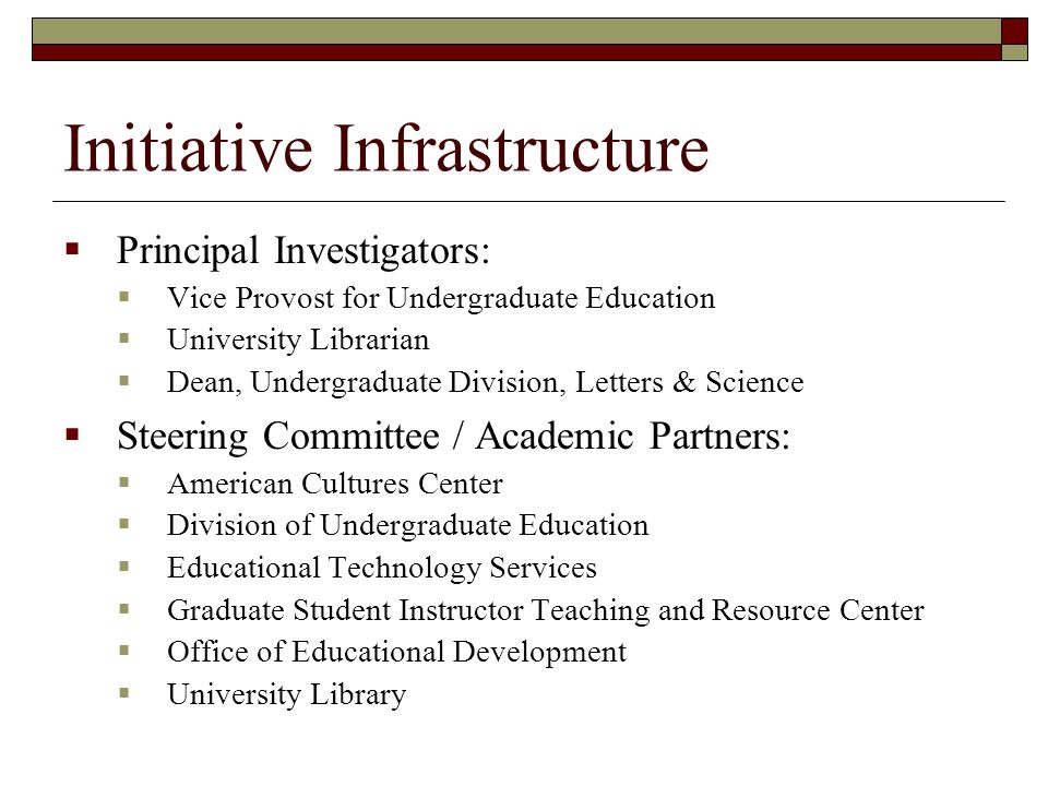 Initiative Infrastructure  Principal Investigators:  Vice Provost for Undergraduate Education  University Librarian  Dean, Undergraduate Division, Letters & Science  Steering Committee / Academic Partners:  American Cultures Center  Division of Undergraduate Education  Educational Technology Services  Graduate Student Instructor Teaching and Resource Center  Office of Educational Development  University Library