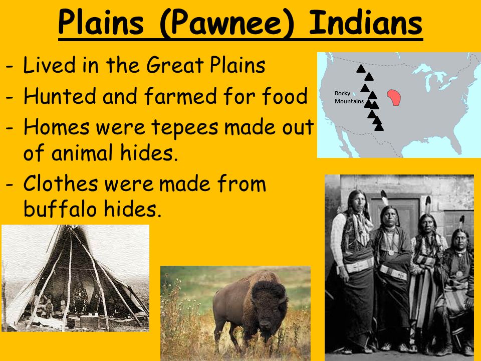 pawnee indian essay pawnee indian essay