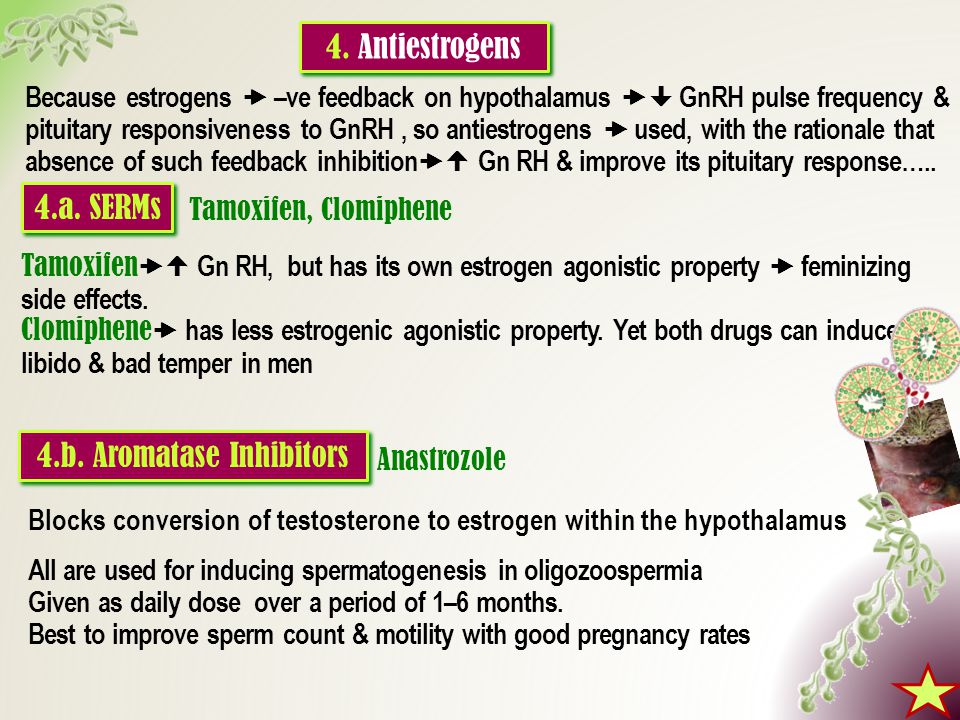 Tamoxifen effects on sperm Calvin hobbes naked