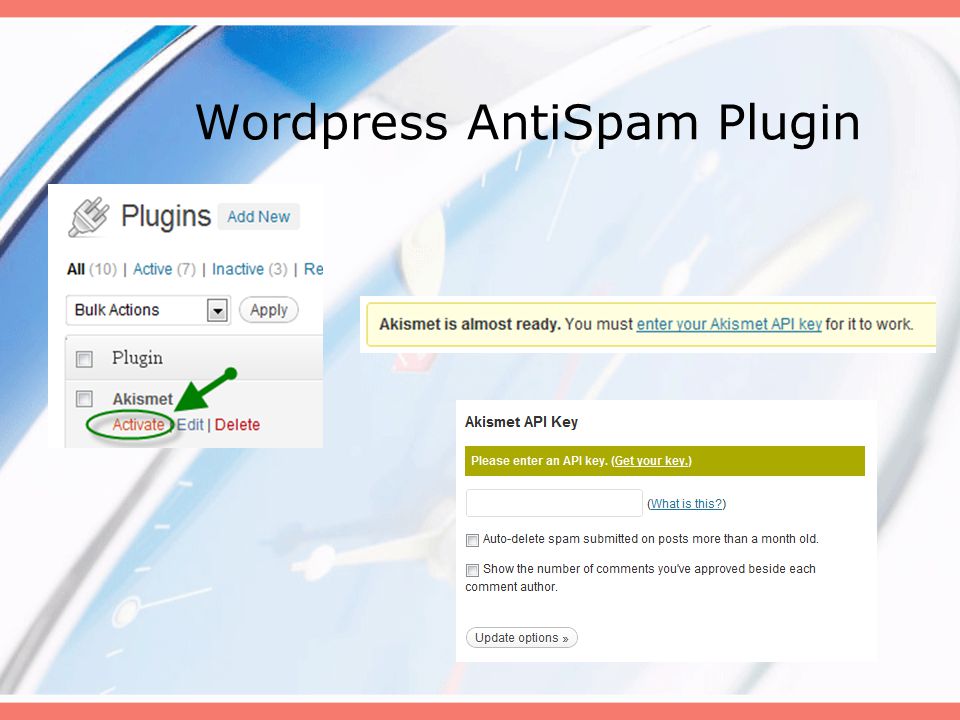 Wordpress AntiSpam Plugin