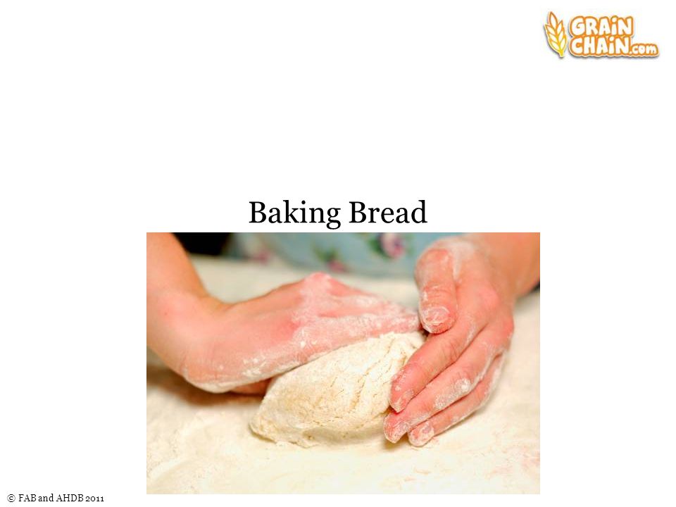 © FAB and AHDB 2011 Baking Bread