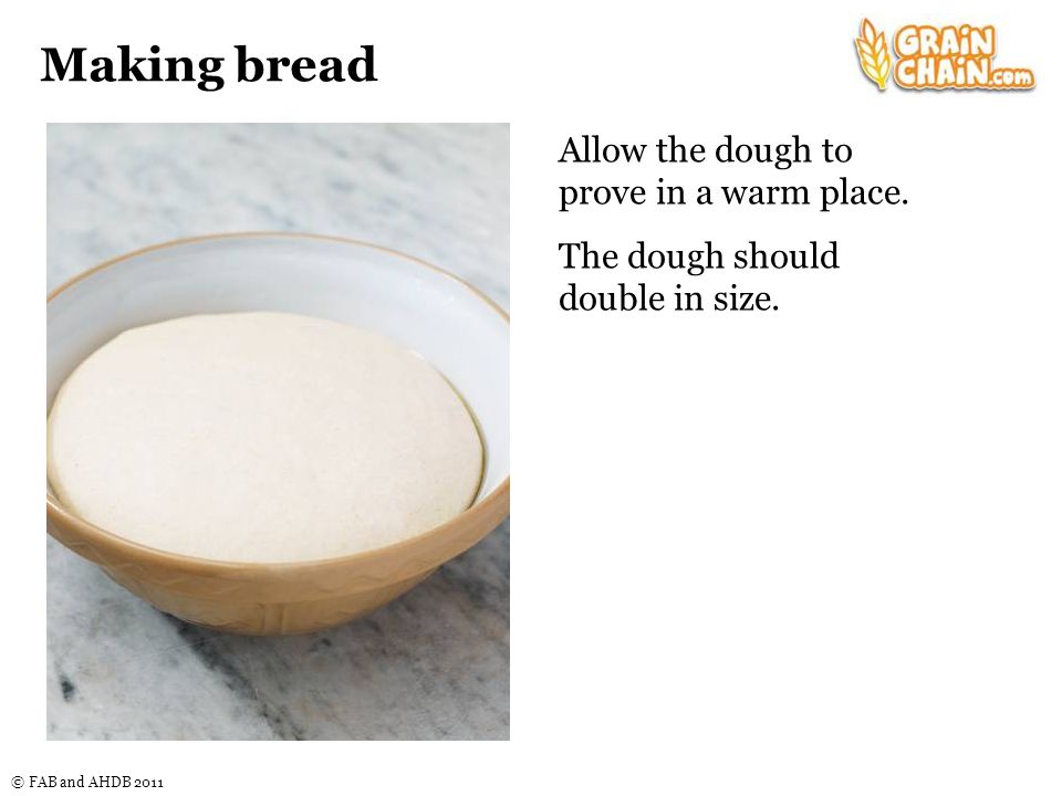 © FAB and AHDB 2011 Making bread Allow the dough to prove in a warm place.