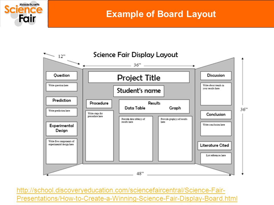 Writing a Research Paper for Your Science Fair Project Writing a Research Paper for Your Science Fair Project