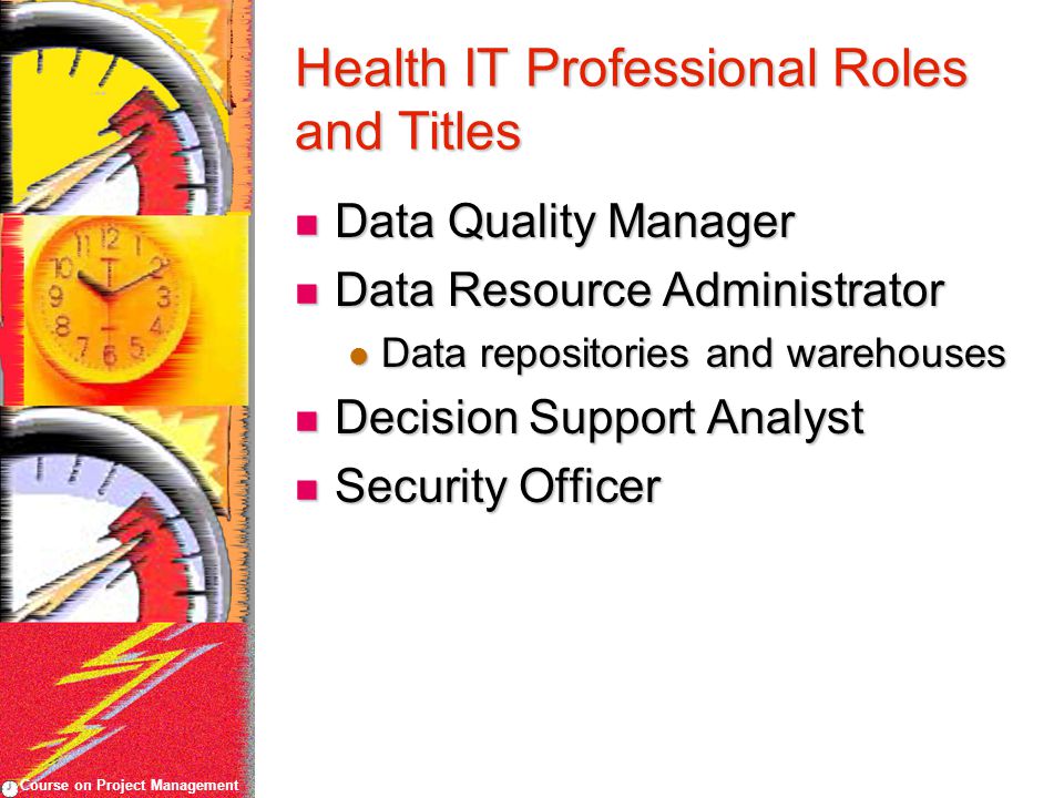 Course on Project Management Health IT Professional Roles and Titles Data Quality Manager Data Quality Manager Data Resource Administrator Data Resource Administrator Data repositories and warehouses Data repositories and warehouses Decision Support Analyst Decision Support Analyst Security Officer Security Officer
