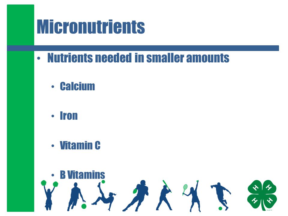 Micronutrients Nutrients needed in smaller amounts Calcium Iron Vitamin C B Vitamins