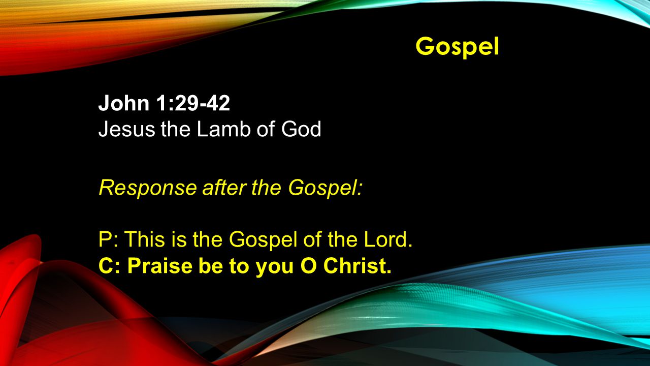 Gospel John 1:29-42 Jesus the Lamb of God Response after the Gospel: P: This is the Gospel of the Lord.