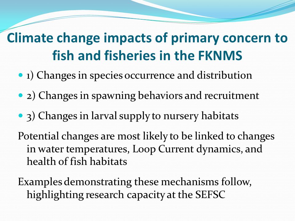 Climate change impacts of primary concern to fish and fisheries in the FKNMS 1) Changes in species occurrence and distribution 2) Changes in spawning behaviors and recruitment 3) Changes in larval supply to nursery habitats Potential changes are most likely to be linked to changes in water temperatures, Loop Current dynamics, and health of fish habitats Examples demonstrating these mechanisms follow, highlighting research capacity at the SEFSC