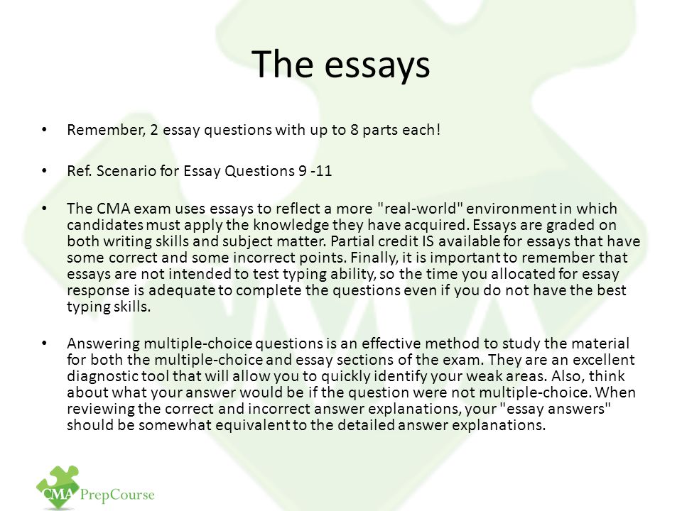 Decisions Essay