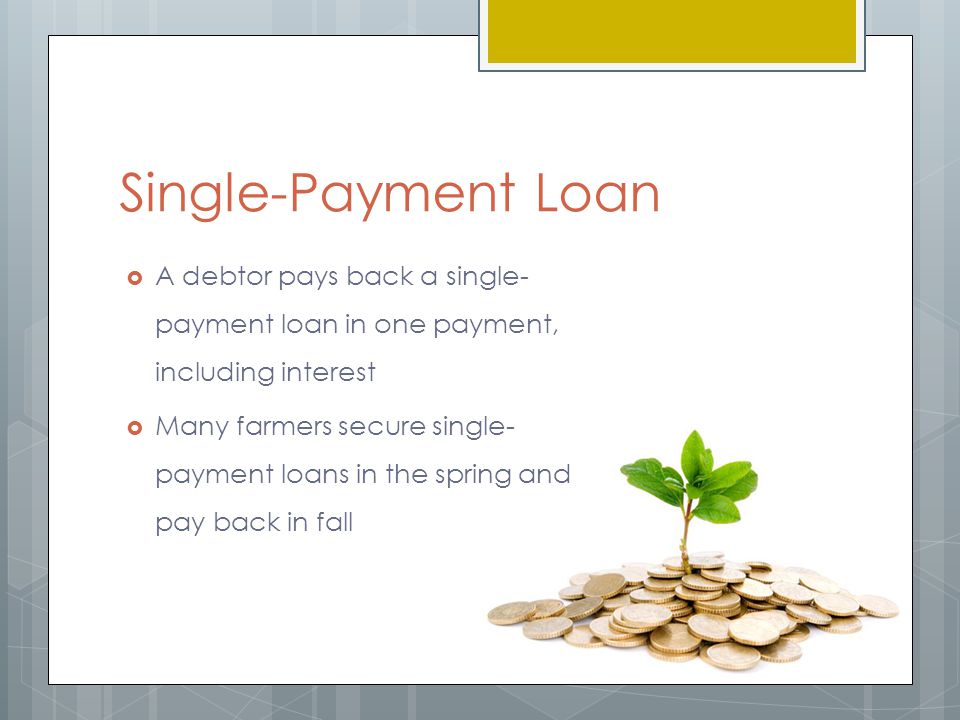 Single-Payment Loan  A debtor pays back a single- payment loan in one payment, including interest  Many farmers secure single- payment loans in the spring and pay back in fall