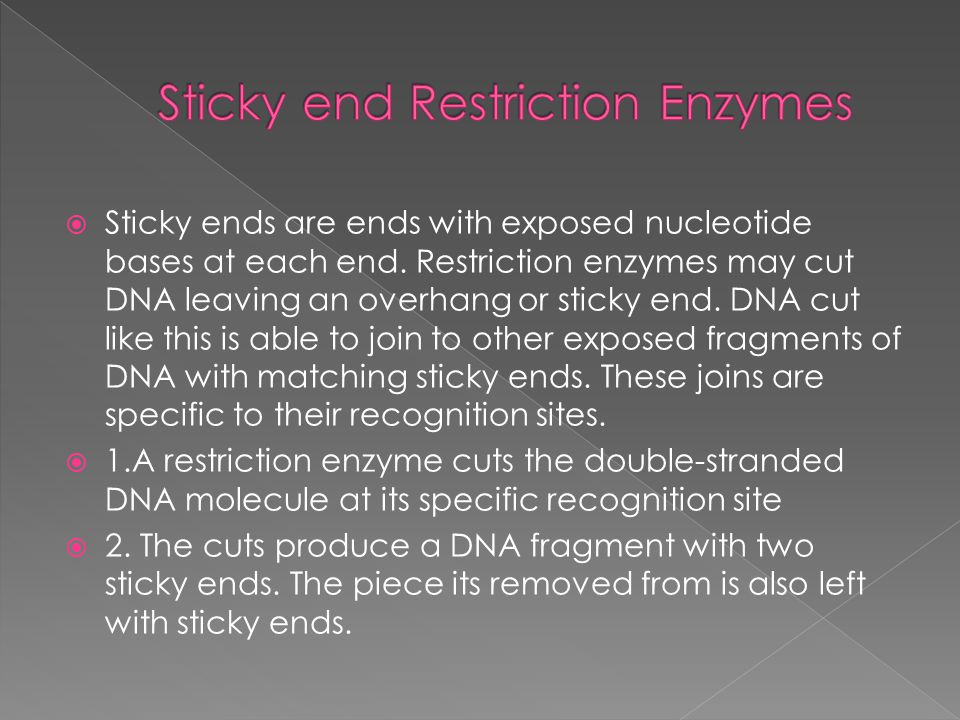  Sticky ends are ends with exposed nucleotide bases at each end.