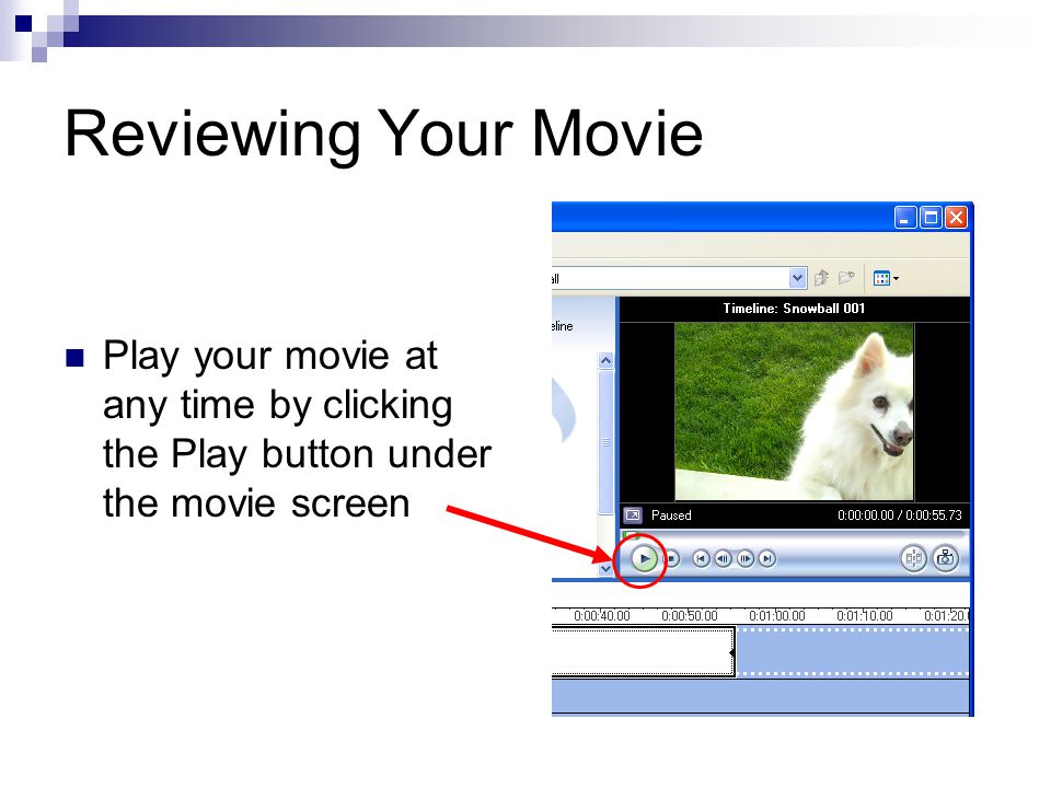 Reviewing Your Movie Play your movie at any time by clicking the Play button under the movie screen