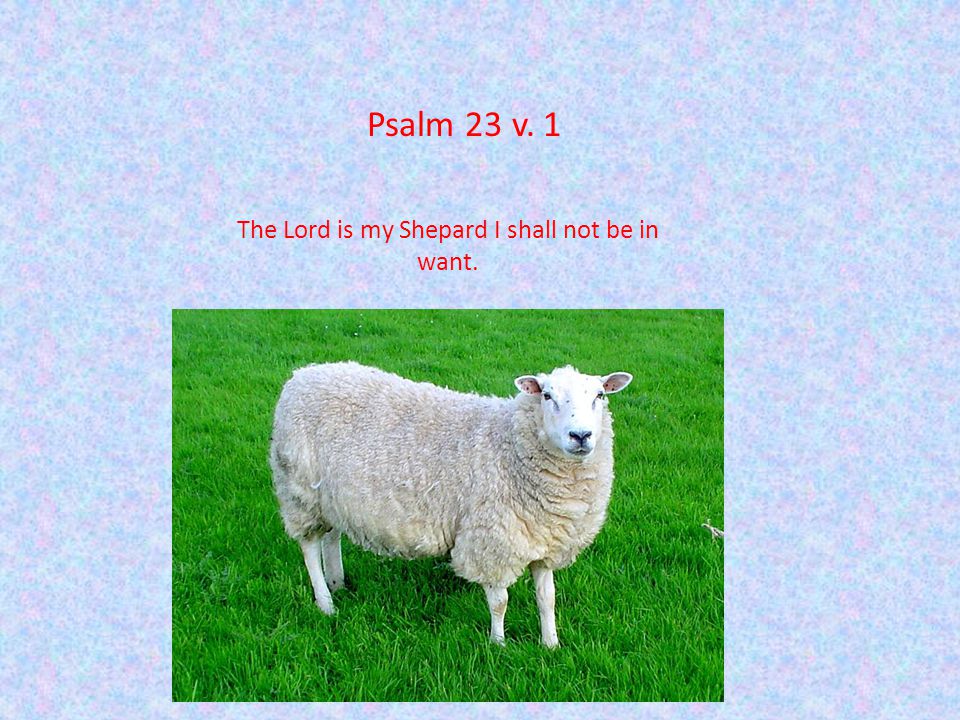 Psalm 23 v. 1 The Lord is my Shepard I shall not be in want.