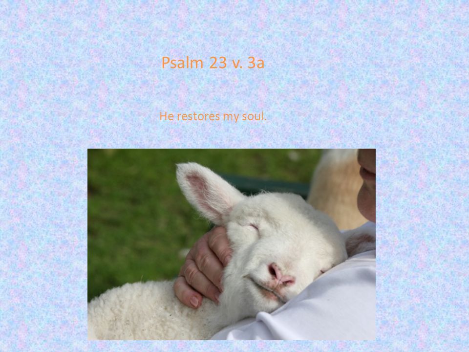 Psalm 23 v. 3a He restores my soul.