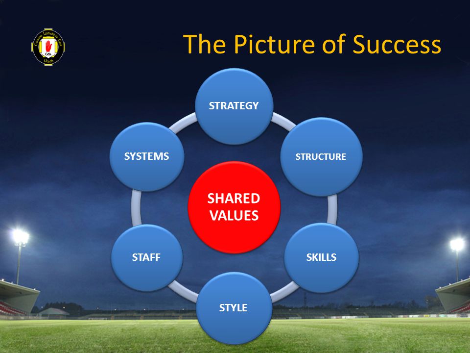 The Picture of Success SHARED VALUES STRATEGY STRUCTURE SKILLS STYLE STAFF SYSTEMS