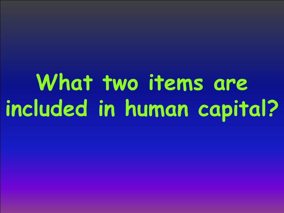What two items are included in human capital