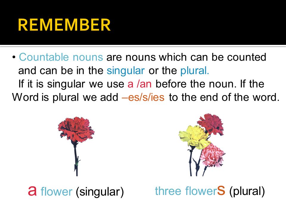 Countable nouns are nouns which can be counted and can be in the singular or the plural.