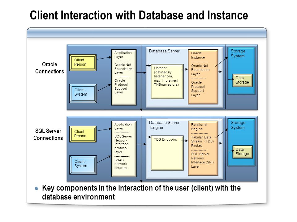 Client Interaction with Database and Instance Key components in the interaction of the user (client) with the database environment Application Layer SQL Server Network Interface protocol layer SNAC network libraries Client Person Client System Database Server Engine Database Server Engine TDS Endpoint Relational Engine Tabular Data Stream (TDS) Packet SQL Server Network Interface (SNI) Layer Storage System Data Storage Application Layer Oracle Net Foundation Layer Oracle Protocol Support Layer Client Person Client System Database Server Database Server Listener (defined by listener.ora, may implement TNSnames.ora) Oracle Instance Oracle Net Foundation Layer Oracle Protocol Support Layer Storage System Data Storage Oracle Connections SQL Server Connections