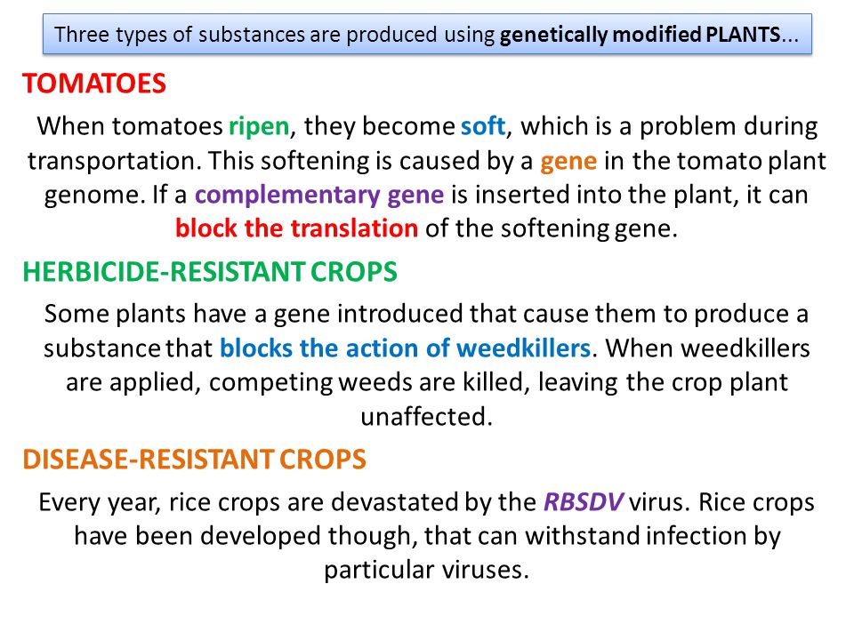 Three types of substances are produced using genetically modified PLANTS...