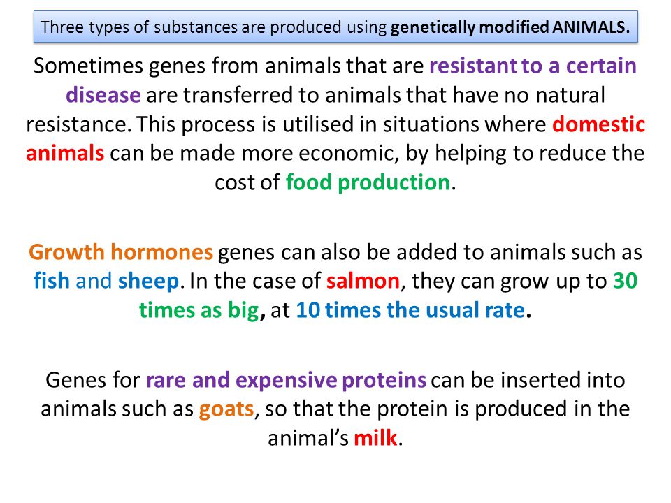 Three types of substances are produced using genetically modified ANIMALS.