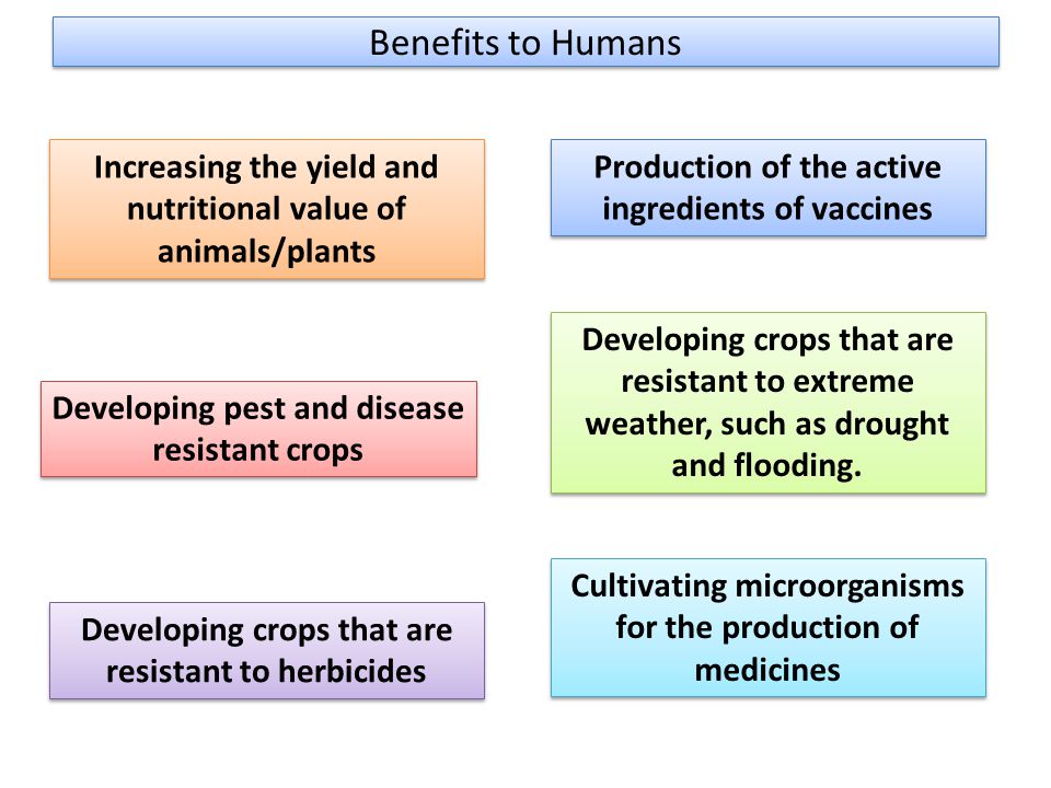 Benefits to Humans Developing pest and disease resistant crops Cultivating microorganisms for the production of medicines Production of the active ingredients of vaccines Developing crops that are resistant to extreme weather, such as drought and flooding.