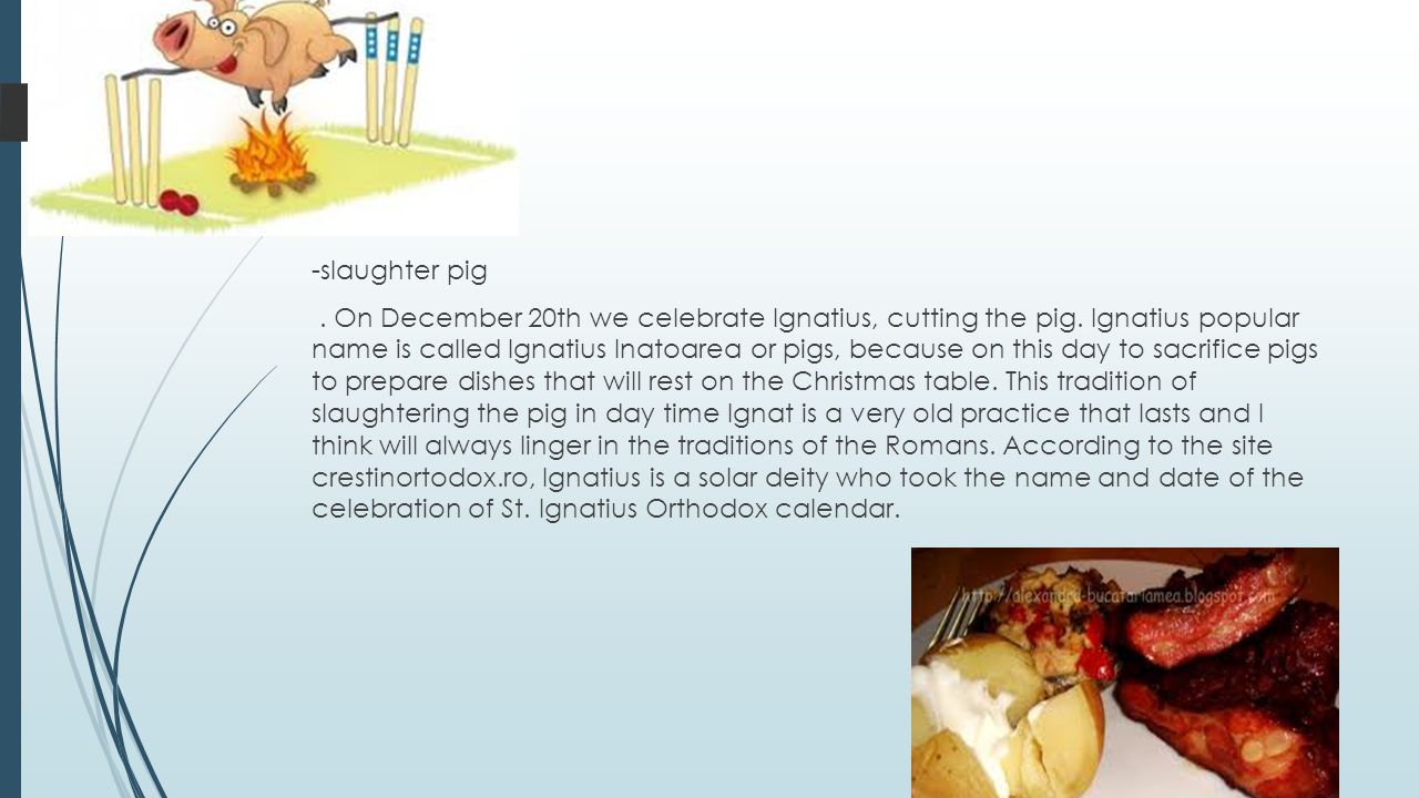 -slaughter pig. On December 20th we celebrate Ignatius, cutting the pig.