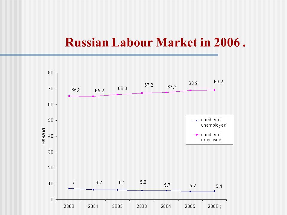 Russian Labour Market in 2006.